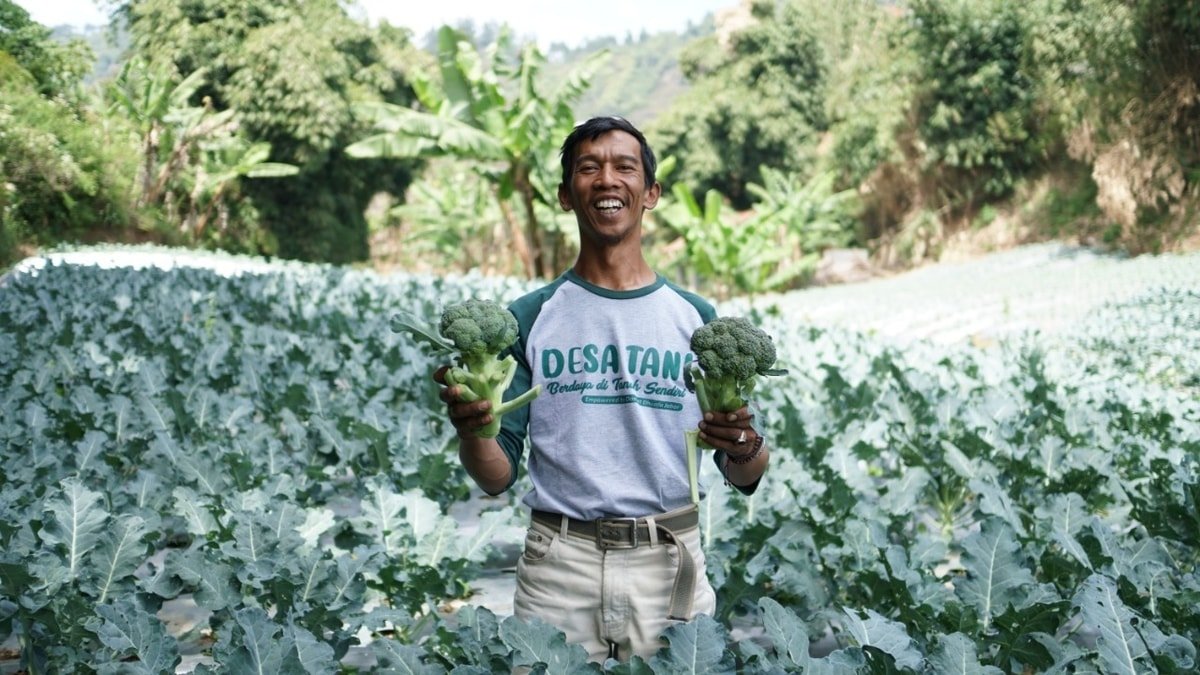 https://www.dompetdhuafa.org/petani-berdaya-eks-pecandu-narkoba-desa-tani-lembang-bagian-satu/